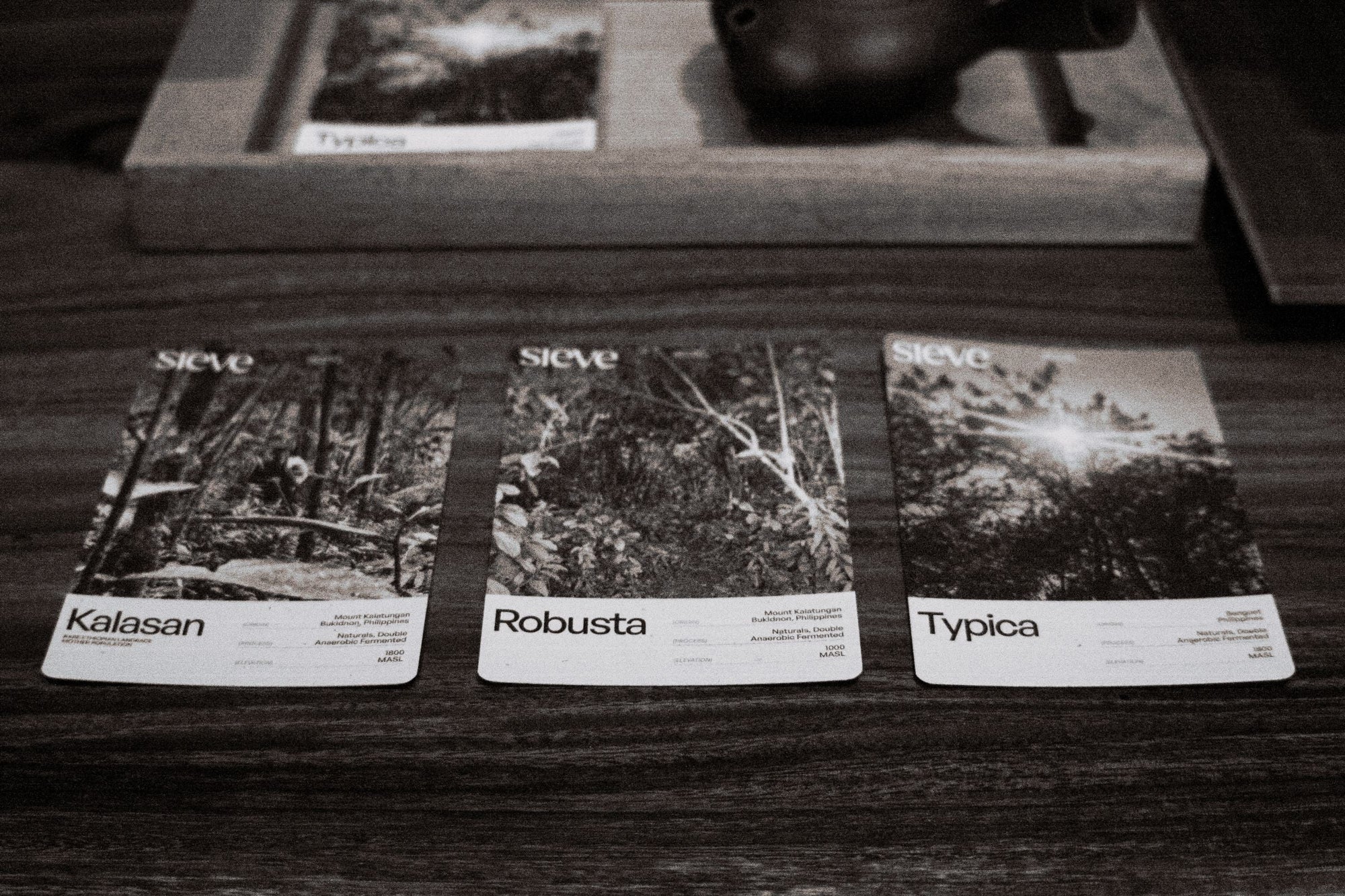 nostalgia as sensory terrain: 2025 cropyear/ midcanopy collection