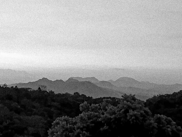 taken on walks: our postcard images