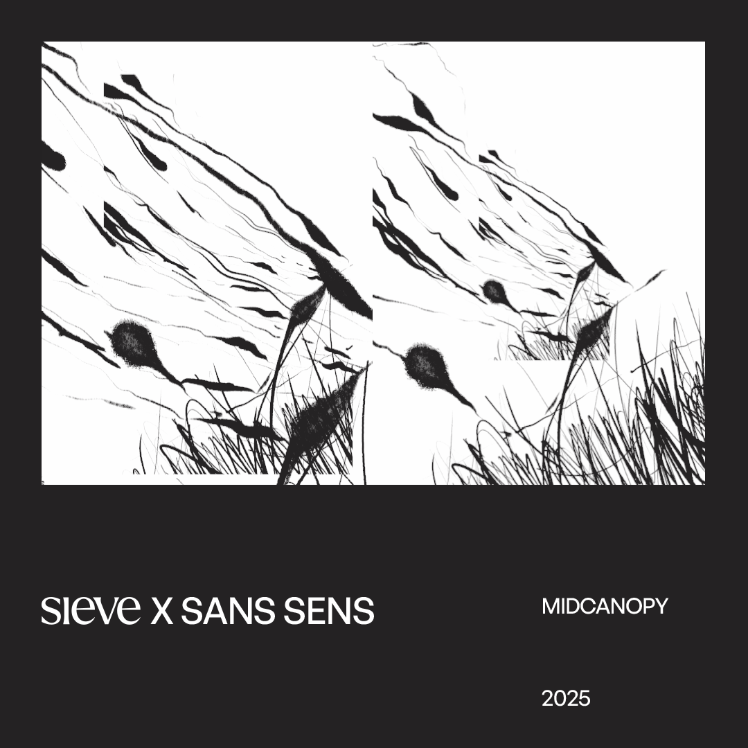 companionable art by sans sens studio