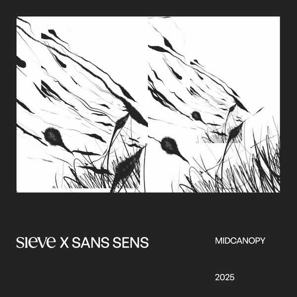 companionable art by sans sens studio