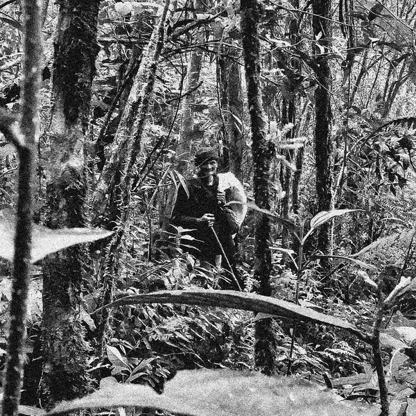 nuanced & deeply composed