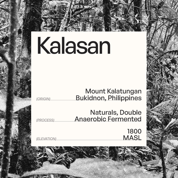 nuanced & deeply composed