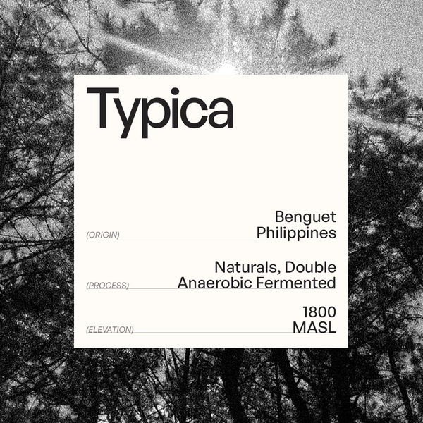 wild & resinous with a subtle tart lift