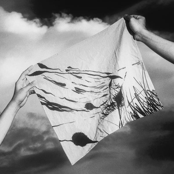 companionable art by sans sens studio